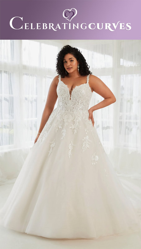 Fuller figure fairytale wedding dress with lace applique
